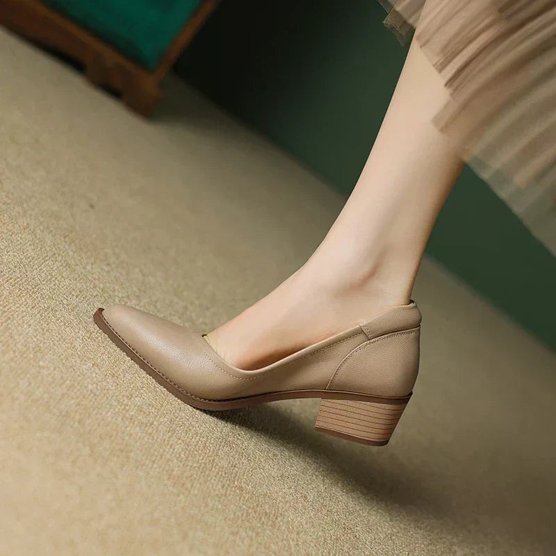 Pair of women's elegant dress shoes with mid-height heels